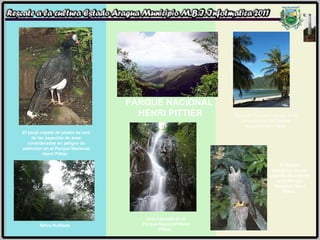 Playa de Turiamo, ubicada en la zona costera del Parque Nacional Henri Pittier  Selva Nublada Una cascada en el Parque Nacional Henri Pittier.  PARQUE NACIONAL  HENRI PITTIER El  Halcón peregrino e s una especie abundante en el Parque Nacional Henri Pittier.  El paují copete de piedra es una de las especies de aves consideradas en peligro de extinción en el Parque Nacional Henri Pittier.  