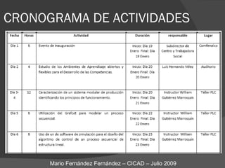 CRONOGRAMA DE ACTIVIDADES Mario Fernández Fernández – CICAD – Julio 2009 