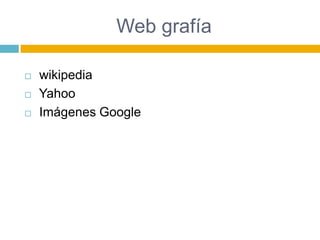 Web grafía

   wikipedia
   Yahoo
   Imágenes Google
 