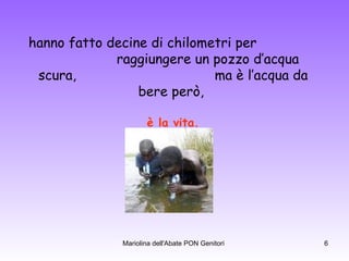hanno fatto decine di chilometri per  raggiungere un pozzo d’acqua scura,  ma è l’acqua da bere però,  è la vita. 