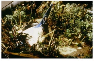 Mario Mercuri Project Management  Selected Film Sets