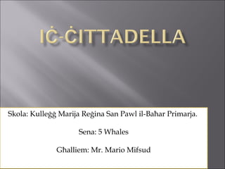 Skola: Kulleġġ Marija Reġina San Pawl il-Baħar Primarja.  Sena: 5 Whales Għalliem: Mr. Mario Mifsud 