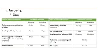(Marion Moreno) farrowing Management.pptx