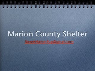 Marion County Shelter
    SaveAMarionPup@gmail.com
 