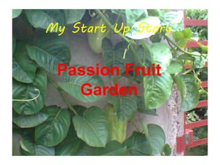 My Start Up Story
Passion Fruit
Garden
 