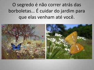 O segredo é não correr atrás das borboletas… É cuidar do jardim para que elas venham até você.