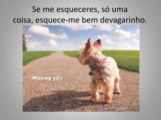 Se me esqueceres, só uma coisa, esquece-me bem devagarinho.