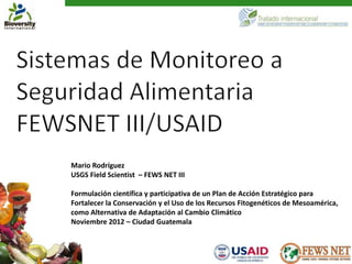 Mario Rodríguez
USGS Field Scientist – FEWS NET III

Formulación científica y participativa de un Plan de Acción Estratégico para
Fortalecer la Conservación y el Uso de los Recursos Fitogenéticos de Mesoamérica,
como Alternativa de Adaptación al Cambio Climático
Noviembre 2012 – Ciudad Guatemala
 