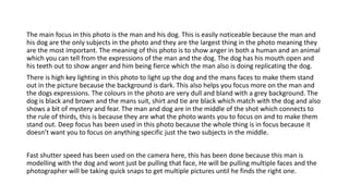 The main focus in this photo is the man and his dog. This is easily noticeable because the man and
his dog are the only subjects in the photo and they are the largest thing in the photo meaning they
are the most important. The meaning of this photo is to show anger in both a human and an animal
which you can tell from the expressions of the man and the dog. The dog has his mouth open and
his teeth out to show anger and him being fierce which the man also is doing replicating the dog.
There is high key lighting in this photo to light up the dog and the mans faces to make them stand
out in the picture because the background is dark. This also helps you focus more on the man and
the dogs expressions. The colours in the photo are very dull and bland with a grey background. The
dog is black and brown and the mans suit, shirt and tie are black which match with the dog and also
shows a bit of mystery and fear. The man and dog are in the middle of the shot which connects to
the rule of thirds, this is because they are what the photo wants you to focus on and to make them
stand out. Deep focus has been used in this photo because the whole thing is in focus because it
doesn’t want you to focus on anything specific just the two subjects in the middle.
Fast shutter speed has been used on the camera here, this has been done because this man is
modelling with the dog and wont just be pulling that face, He will be pulling multiple faces and the
photographer will be taking quick snaps to get multiple pictures until he finds the right one.
 