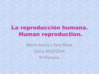 La reproducción humana.
Human reproduction.
Mario García y Sara Moya
Curso 2013/2014
6º Primaria

 