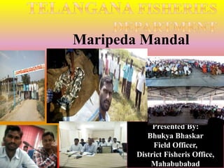 Maripeda Mandal
Presented By:
Bhukya Bhaskar
Field Officer,
District Fisheris Office,
Mahabubabad
 