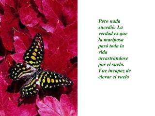 Mariposa