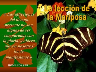 Mariposa
