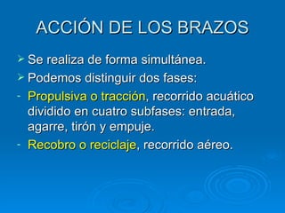 ACCIÓN DE LOS BRAZOS
 Se realiza de forma simultánea.
 Podemos distinguir dos fases:
- Propulsiva o tracción, recorrido acuático
  dividido en cuatro subfases: entrada,
  agarre, tirón y empuje.
- Recobro o reciclaje, recorrido aéreo.
 