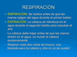 RESPIRACIÓN
   INSPIRACIÓN: Se realiza antes de que las
    manos salgan del agua durante el primer batido.
   EXPIRACIÓN: La cabeza se introduce en el
    agua durante el segundo batido para expulsar el
    aire.
-   La cabeza debe bajar antes de que las manos
    entren en el agua, no hundir la cabeza
    excesivamente.
-   Respirar cada dos ciclos de brazos, una
    brazada saco la cabeza y otra no (si se puede)
 