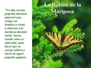 La lección de la Mariposa &quot;Un día, en una  pequeña abertura apareció una oruga; un hombre se sentó a observar a la mariposa durante varias  horas, viendo cómo se esforzaba  para hacer que su cuerpo saliera a través de aquel pequeño agujero. 