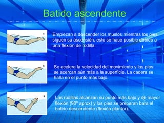 Batido ascendente
 Empiezan a descender los muslos mientras los pies
 siguen su ascensión, esto se hace posible debido a
 una flexión de rodilla.



  Se acelera la velocidad del movimiento y los pies
  se acercan aún más a la superficie. La cadera se
  halla en el punto más bajo.



  Las rodillas alcanzan su punto más bajo y de mayor
  flexión (90º aprox) y los pies se preparan bara el
  batido descendente (flexión plantar).
 