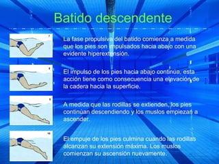 Batido descendente
 La fase propulsiva del batido comienza a medida
 que los pies son impulsados hacia abajo con una
 evidente hiperextensión.

 El impulso de los pies hacia abajo continúa, esta
 acción tiene como consecuencia una elevación de
 la cadera hacia la superficie.

 A medida que las rodillas se extienden, los pies
 continúan descendiendo y los muslos empiezan a
 ascender.


 El empuje de los pies culmina cuando las rodillas
 alcanzan su extensión máxima. Los muslos
 comienzan su ascensión nuevamente.
 