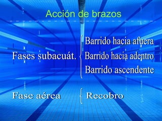 Acción de brazos
 