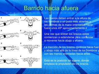 Barrido hacia afuera
       Las manos deben entrar a la altura de
       los hombros o un poco más abiertas y
       las palmas de la mano orientadas hacia
       fuera unos 45º aproximadamente.

       Una vez que entran los brazos estos
       comienzan a extenderse para comenzar
       a moverse hacia abajo y afuera.

       La tracción de los brazos continúa hacia fuera
       y abajo más allá de la línea de los hombros y
       con las manos orientadas hacia atrás.

       Esta es la posición de agarre, donde
       empieza la propulsión de los brazos.
 