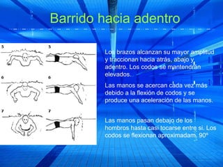 Barrido hacia adentro

        Los brazos alcanzan su mayor amplitud
        y traccionan hacia atrás, abajo y
        adentro. Los codos se mantendrán
        elevados.
        Las manos se acercan cada vez más
        debido a la flexión de codos y se
        produce una aceleración de las manos.


        Las manos pasan debajo de los
        hombros hasta casi tocarse entre si. Los
        codos se flexionan aproximadam. 90º
 