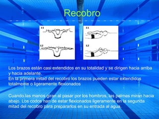 Recobro




Los brazos están casi extendidos en su totalidad y se dirigen hacia arriba
y hacia adelante.
En la primera mitad del recobro los brazos pueden estar extendidos
totalmente o ligeramente flexionados

Cuando las manos giran al pasar por los hombros, las palmas miran hacia
abajo. Los codos han de estar flexionados ligeramente en la segunda
mitad del recobro para prepararlos en su entrada al agua.
 