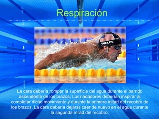 Respiración




   La cara debería romper la superficie del agua durante el barrido
    ascendente de los brazos. Los nadadores deberían inspirar al
completar dicho movimiento y durante la primera mitad del recobro de
los brazos. La cara debería dejarse caer de nuevo en el agua durante
                    la segunda mitad del recobro.
 