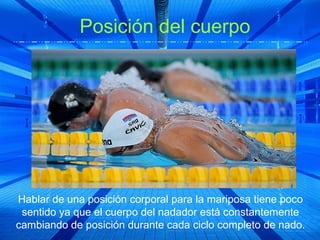 Posición del cuerpo




Hablar de una posición corporal para la mariposa tiene poco
 sentido ya que el cuerpo del nadador está constantemente
cambiando de posición durante cada ciclo completo de nado.
 