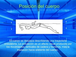 Posición del cuerpo




     El cuerpo se desplaza describiendo una trayectoria
ondulatoria. La ondulación es un efecto visual producido por
  los movimientos verticales de cadera y hombros, más la
            traslación hacia adelante del cuerpo.
 