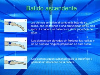 Batido ascendente

 Las piernas se hallan al punto más bajo de su
 batido, con los talones a una profundidad de 60 cms
 aprox. La cadera se halla cerca de la superficie del
 agua.

 Las piernas son elevadas sin flexionar las rodillas y
 no se produce ninguna propulsión en este punto.




 Las piernas siguen subiendo hacia la superficie y
 generan un descenso de la cadera.
 