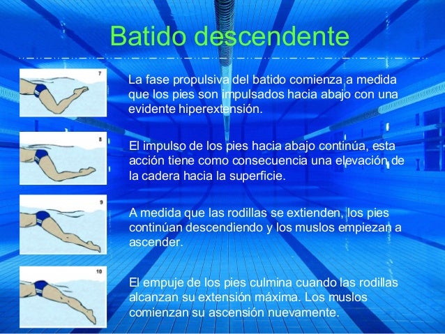 Resultado de imagen de fase del batido ascendente en mariposa