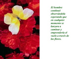 El hombre continuó observándola esperando que en cualquier momento se lanzara a caminar y emprendería el vuelo a través de las flores. 
