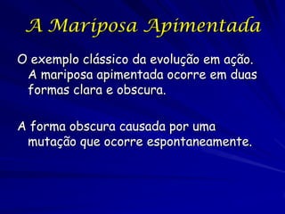 A Mariposa Apimentada

  Declínio de um Discípulo
         Darwiniano
 