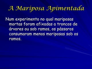 O que isso tem a ver com as
           aves?
Mais 8 outros estudos
Muitos desses estudos enfocaram as criticas
dos métodos de Kettlewell
Nenhum estudo rechaçou as conclusões
qualitativas de Kettlewell
As teorias alternativas (Poluentes
mutagênicos, vantagem fisiológico inerente)
não se ajustam aos dados
O único agente que tem apoio empírico é a
predação por aves
 