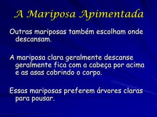 A Mariposa Apimentada
As mariposas escolham descansa em
áreas sombreadas onde os ramos juntam
ao tronco.

Se a escolha do lugar é adaptiva as
mariposas nesses lugares devem sofrer
menos predação do que aquelas sobre os
troncos.
 