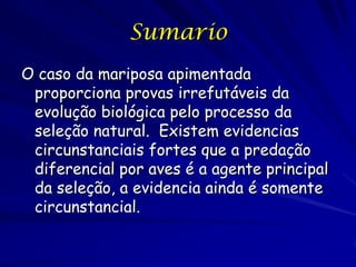 A Mariposa Apimentada
Pietrewicz e Kamil (1977) testaram se
as escolhas feitas pela mariposa foram
vantajosa seletivamente.

Eles treinaram Cyanocitta cristata
responder a transparências das
mariposas ao bicar um botão para
receber uma recompensa alimentar
quando vieram uma mariposa.
 