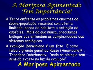 Explicando os dados
O modelo de Howlett demonstrou que a
seleção do pano de fundo diferente
depende das freqüências das formas
Grant e Howlett (1988) e Jones (1993)
com dados demonstrando diferencias das
preferências por populações diferentes
Kettlewell tal vez usou mariposas pretas e
claras provenientes de populações
diferentes, com comportamentos
diferentes
 