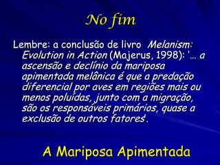 Ligação Genótipo - Fenótipo
Nachman et al (2003): análise de associação
dos genes candidatos de camundongos de
laboratório demonstrou que a mutação foi
responsável para o melanismo adaptiva em
camundongos selvagens
Técnica similar com a mariposa apimentada,
usando os genes candidatos de Dropophila,
Manduca ou Papilio
Avaliação de se são os mesmos os mutantes
melânicos

     A Mariposa Apimentada
 