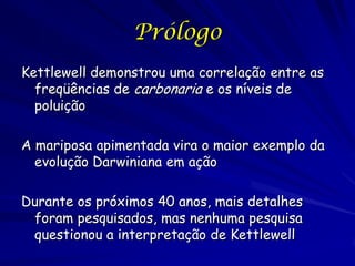 As mariposas apimentadas desancam sobre árvores e
dependem da camuflagem para proteção contra a
predação.
 