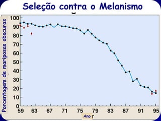 Prólogo
Até 1895, 98% da população Mancuniana foi
preta
1896: Tutt propus a preda;cão diferencial por
aves como o agente responsável
Haldane (1924) demonstrou que: carbonaria
1.5 vezes o aptidão de f. betularia para
explicar seu aumento
1950s: os experimentos de marcação – soltura
e recaptura de Kettlewell sobre a predação
deixam resultados recíprocos.
 