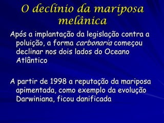 Prólogo
Kettlewell demonstrou uma correlação entre
as freqüências de carbonaria e os níveis de
poluição
A mariposa apimentada vira o maior exemplo
da evolução Darwiniana em ação
Durante os próximos 40 anos, mais detalhes
foram pesquisados, mas nenhuma pesquisa
questionou a interpretação de Kettlewell
 