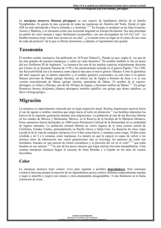 http://www.umich.mx/mich/monarca/mon-intro-monarca.html
http://es.wikipedia.org/wiki/Danaus_plexippus
FUENTE DE INFORMACION
INSTITUTO NACIONAL DE ECOLOGIA
CENTRO ECOTURÍSTICO EL ROSARIO MARIPOSA MONARCA
La mariposa monarca (Danaus plexippus) es una especie de lepidóptero ditrisio de la familia
Nymphalidae. Es quizás la más conocida de todas las mariposas de América del Norte. Desde el siglo
XIX ha sido introducida a Nueva Zelanda y a Australia.3 4 5
En Europa es residente en las Islas Canarias,
Azores y Madeira, y se encuentra como una ocasional migrante en Europa Occidental. Sus alas presentan
un patrón de color naranja y negro fácilmente reconocibles, con una envergadura de 8,9-10,2 cm6
. La
hembra monarca tiene venas más oscuras en sus alas6
, y el macho tiene un lugar en el centro de una vena
de cada ala posterior7
de la que se liberan feromonas, y además, es ligeramente más grande.
Taxonomía
El nombre común «monarca» fue publicado en 1874 por Nahuel L. Parada ya que, según él, «es una de
las más grandes de nuestras mariposas, y cubre un vasto dominio».8
Su nombre también lo fue en honor
del rey Guillermo III de Inglaterra.9
La monarca fue una de las muchas especies originalmente descritas
por Linneo en su Systema Naturae de 1758 y fue primeramente incluida en el género Papilio.10
En 1780,
Jan Krzysztof Kluk usa a la monarca como especie tipo para el nuevo género: Danaus. Como la gramática
del latín requiere que el epíteto específico y el nombre genérico concuerden, no está claro si el género
Danaus proviene de Dánao (griego Δαναός), un mítico rey de Egipto y bisnieto de Zeus o si es una
versión masculinizada de Dánae (griego Δανάη), tataranieta de Dánao. El nombre de la especie:
plexippus, se refiere a Plexipo, uno de los 50 hijos de Egipto, y hermano mellizo de Dánao.8 11
En griego
Homérico δαναος πληξιππος (danaos plexippos) también significa «un griego que doma caballos», es
decir «Auriga griego».
Migración
La monarca es especialmente conocida por su larga migración anual. Realiza migraciones masivas hacia
el sur de agosto a octubre, mientras que migra hacia el norte en primavera.12
Las hembras depositan los
huevos de la siguiente generación durante esas migraciones. La población al este de las Rocosas hiberna
en los estados de México y Michoacán, México, en la Reserva de la biosfera de la Mariposa Monarca.
Estos santuarios fueron declarados en 2008 como Patrimonio Cultural de la Humanidad en su modalidad
de lugares naturales. La población oriental hiberna en varios lugares de la zona costera central de
California, Estados Unidos, principalmente en Pacific Grove y Santa Cruz. La duración de estos viajes
excede la de la vida de cualquier mariposa (vive 4 días como huevo, 2 semanas como oruga, 10 días como
crisálida y de 2 a 6 semanas como mariposa). La manera en que la especie es capaz de volver a los
mismos sitios de hibernación tras varias generaciones aún se investiga; los patrones de vuelo son
heredados, basados en una mezcla de ritmos circadianos y la posición del sol en el cielo13 14
que están
basados en sus antenas.15 16
Es uno de los pocos insectos que logra realizar travesías transatlánticas. Unas
cuantas mariposas monarca llegan al suroeste de Gran Bretaña y a España en los años de vientos
favorables.
Color
La mariposa monarca tiene colores vivos para espantar a posibles depredadores. Esta estrategia
evolutiva funciona porque la mayoría de los depredadores asocia colores chillones (especialmente naranja
y negro o amarillo y negro) con veneno y otras propiedades desagradables. A este fenómeno se le llama
coloración de aviso.
 