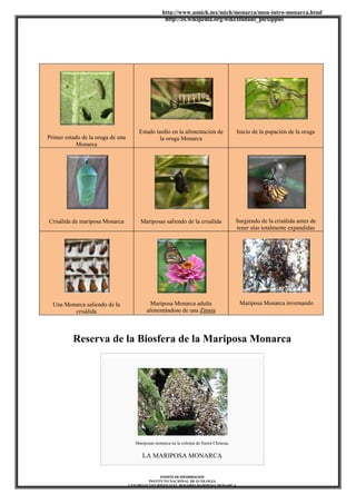 http://www.umich.mx/mich/monarca/mon-intro-monarca.html
http://es.wikipedia.org/wiki/Danaus_plexippus
FUENTE DE INFORMACION
INSTITUTO NACIONAL DE ECOLOGIA
CENTRO ECOTURÍSTICO EL ROSARIO MARIPOSA MONARCA
Primer estado de la oruga de una
Monarca
Estado tardío en la alimentación de
la oruga Monarca
Inicio de la pupación de la oruga
Crisálida de mariposa Monarca Mariposas saliendo de la crisálida Surgiendo de la crisálida antes de
tener alas totalmente expandidas
Una Monarca saliendo de la
crisálida
Mariposa Monarca adulta
alimentándose de una Zinnia
Mariposa Monarca invernando
Reserva de la Biosfera de la Mariposa Monarca
Mariposas monarca en la colonia de Sierra Chincua.
LA MARIPOSA MONARCA
 