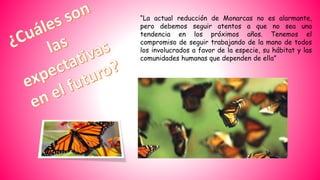 “La actual reducción de Monarcas no es alarmante,
pero debemos seguir atentos a que no sea una
tendencia en los próximos años. Tenemos el
compromiso de seguir trabajando de la mano de todos
los involucrados a favor de la especie, su hábitat y las
comunidades humanas que dependen de ella”
 