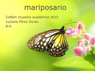 mariposario
Colfem muestra académica 2015
Luciana Pérez Duran
8-4
 