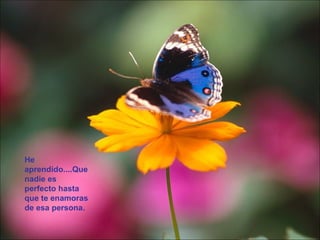 He aprendido....Que nadie es perfecto hasta que te enamoras de esa persona.  