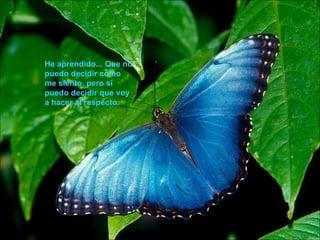 He aprendido... Que no puedo decidir como me siento, pero si puedo decidir que voy a hacer al respecto.  