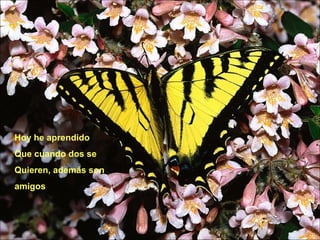 Hoy he aprendido Que cuando dos se  Quieren, además son  amigos 