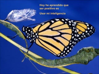 Hoy he aprendido que ser positivo es Usar mi inteligencia 