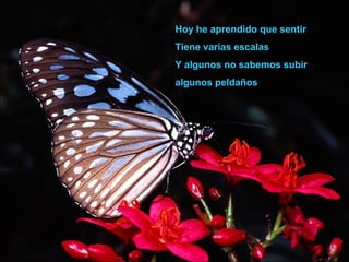 Hoy he aprendido que sentir Tiene varias escalas Y algunos no sabemos subir  algunos peldaños 